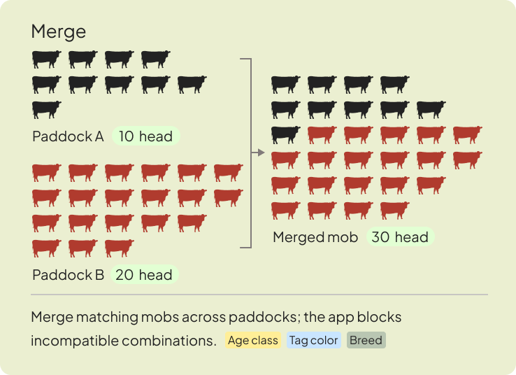 Merge capability: combining compatible mobs across paddocks