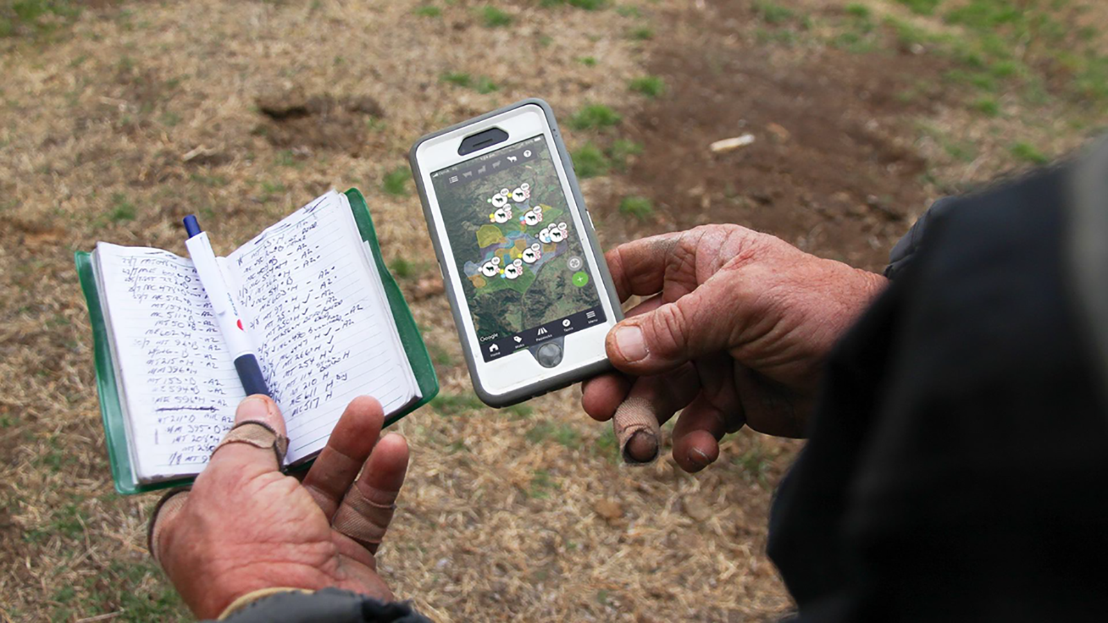 Team workshop discussion during a farm visit