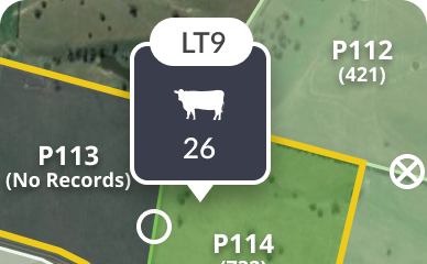 Paddock summary – case study preview