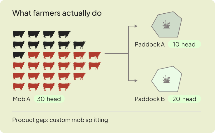 What farmers actually do: splitting a mob across paddocks
