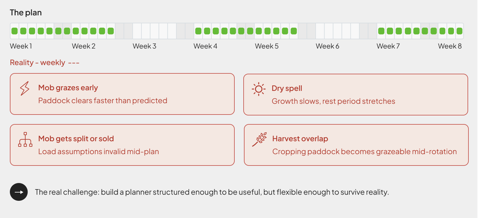 Eight-week grazing plan timeline above four real-world disruption cards: mob grazes early, dry spell, mob gets split or sold, and harvest overlap